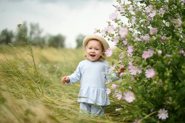Kleine Schöne Mädchen Gehen Auf Dem Feld Sommerspaziergänge Auf Den — Stockfoto