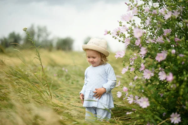 Όμορφο Κοριτσάκι Περπατάει Στο Χωράφι Καλοκαίρι Βόλτες Στα Χωράφια Λουλούδια — Φωτογραφία Αρχείου