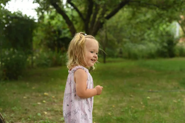 Pequena Menina Bonita Jardim Jardim Uma Criança Com Uma Colheita — Fotografia de Stock