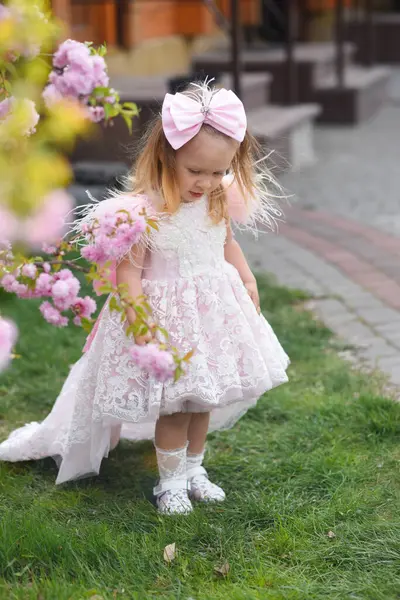 Kleines Mädchen Rosa Kleid Kleines Mädchen Mit Rosa Blüten Kleines lizenzfreie Stockfotos
