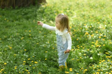 Parktaki küçük kız. Güzel küçük bir kız karahindiba tarlasında yürüyor. Çocuk bahar yürüyüşleri. Sarı saçlı, sarı lastik çizme giyen iki yaşında bir kız.