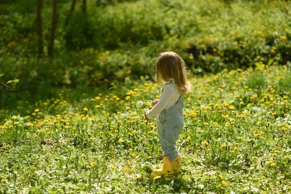 공원에서 아름다운 소녀는 민들레 들판에서 걸어갑니다 아이의 노란색 부츠를 머리를 로열티 프리 스톡 이미지