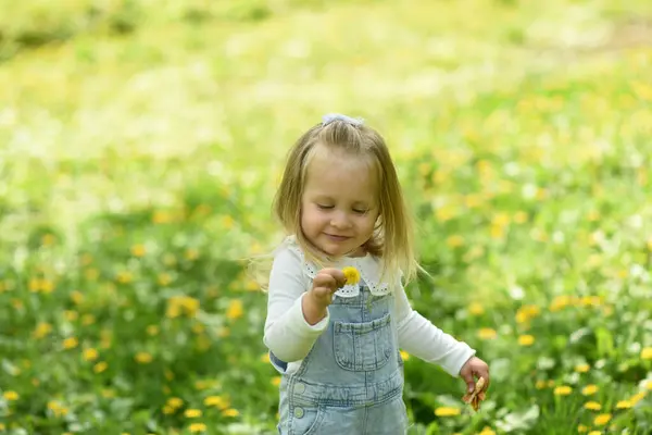 공원에서 아름다운 소녀는 민들레 들판에서 걸어갑니다 아이의 노란색 부츠를 머리를 스톡 이미지