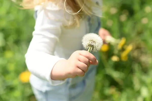 공원에서 아름다운 소녀는 민들레 들판에서 걸어갑니다 아이의 노란색 부츠를 머리를 스톡 사진