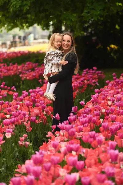 아름다운 소녀는 튤립의 분야에 엄마와 밭에서 꽃입니다 엄마는 그녀의 엄마의 로열티 프리 스톡 사진