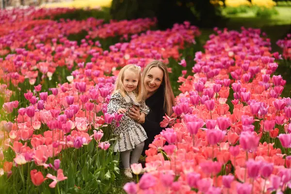 Ein Hübsches Kleines Mädchen Geht Durch Ein Tulpenfeld Mutter Und Stockbild