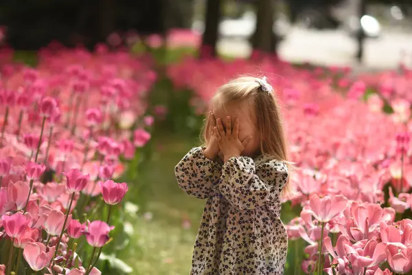 Ein Kleines Mädchen Von Zwei Jahren Geht Durch Ein Feld Stockbild