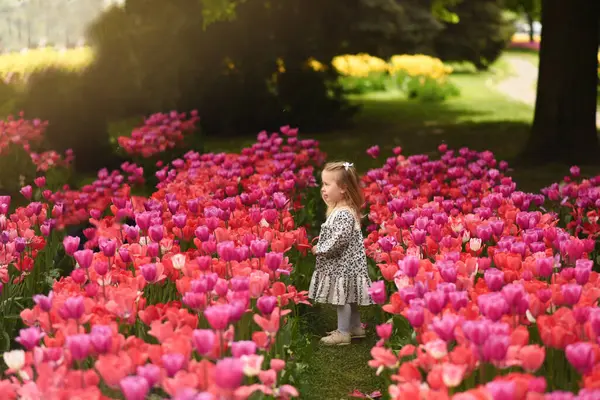 Ein Kleines Mädchen Von Zwei Jahren Geht Durch Ein Feld Stockfoto