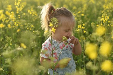 İki yaşında küçük bir kız, bir yakut tohumu tarlasında yürüyor. Tecavüze karşı alerji. Çocuk burnunu kaşıyor.