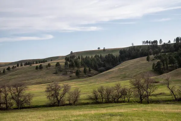 Blick Auf Den Custer South Dakota — Stockfoto