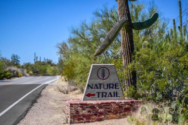 Saguaro NP, ABD - 3 Nisan 2022: Doğa Yolu