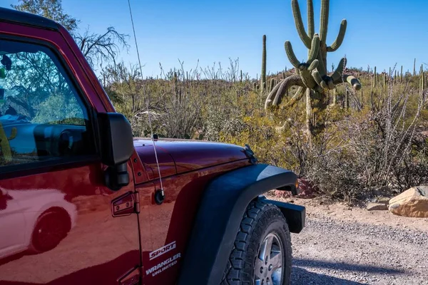 Saguaro NP, ABD - 3 Nisan 2022: Jeep Wrangler Sınırsız Spor