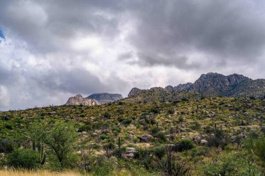 Catalina SP, Arizona 'nın manzarası