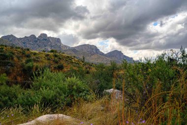Catalina SP, Arizona 'nın manzarası