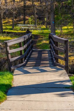 Güney Dakota Custer Eyalet Parkı 'ndaki Lejyon Gölü.