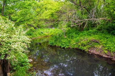 River Falls, Wisconsin 'de doğa manzarası
