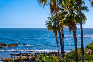 Laguna Sahili, Kaliforniya 'da doğaya güzel bir bakış açısı