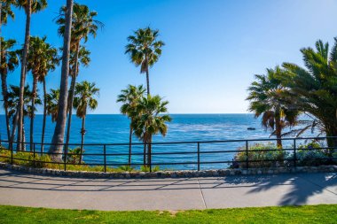 Laguna Sahili, Kaliforniya 'da doğaya güzel bir bakış açısı