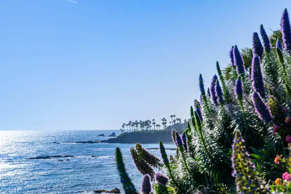 カリフォルニア州ラグーナビーチで自然を眺める美しい景色 ストック写真
