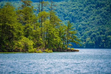 Jocassee Gölü, Güney Carolina manzarası