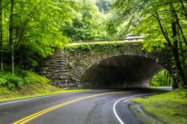 Tennessee 'deki Great Smokey Dağları' na kadar uzun bir yol var.