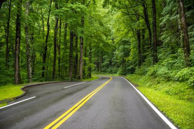 Tennessee 'deki Great Smokey Dağları' na kadar uzun bir yol var.
