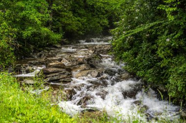 Tennessee 'deki Great Smokey Dağları' na kadar uzun bir yol var.