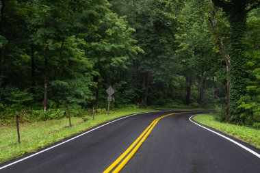 Tennessee 'deki Great Smokey Dağları' na kadar uzun bir yol var.