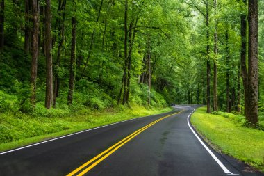 Tennessee 'deki Great Smokey Dağları' na kadar uzun bir yol var.