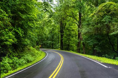 Tennessee 'deki Great Smokey Dağları' na kadar uzun bir yol var.