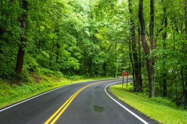 Tennessee 'deki Great Smokey Dağları' na kadar uzun bir yol var.
