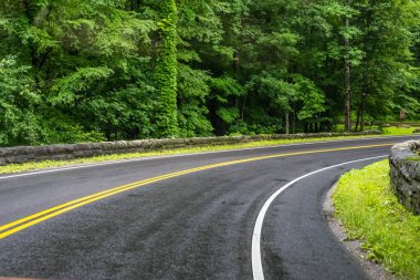 Tennessee 'deki Great Smokey Dağları' na kadar uzun bir yol var.