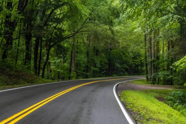 Tennessee 'deki Great Smokey Dağları' na kadar uzun bir yol var.
