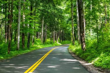 Tennessee 'deki Great Smokey Dağları' na kadar uzun bir yol var.