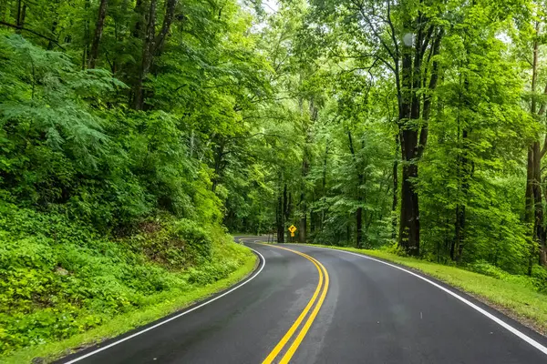 stock image A long way down the road going to Great Smokey Mountains NP, Tennessee