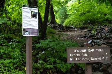 Gatlinburg, Tennessee, ABD - 10 Temmuz 2022: Trillium Gap Trail