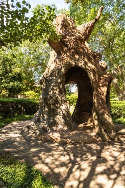 Memphis, TN, ABD - 28 Ağustos 2022 Abraham 's Oak