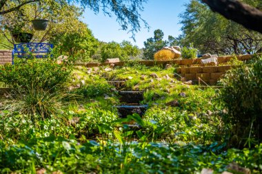 Patagonya Eyalet Parkı, Arizona manzarası