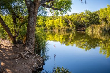 Patagonya Eyalet Parkı, Arizona manzarası