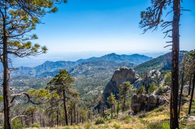 Tucson, Arizona 'nın manzarası