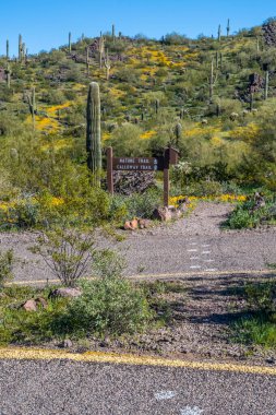 Picacho Peak SP, AZ, USA - Feb 18, 2023: A signage post for different tourist destinations clipart