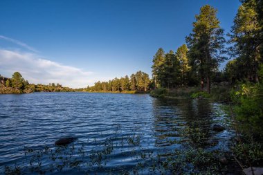 Arizona 'daki Fool Hollow Gölü Eğlence Bölgesi' ne bakan bir manzara.