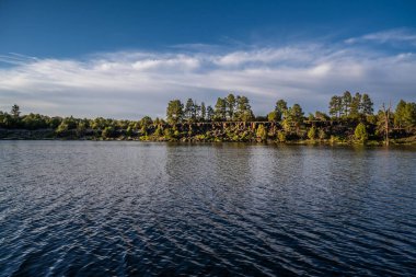 Arizona 'daki Fool Hollow Gölü Eğlence Bölgesi' ne bakan bir manzara.