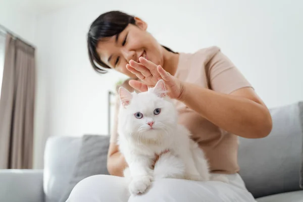 Happy Woman Playing with Cat in Cozy Living Room at Home.
