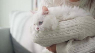 Mutlu Kadın Evde Kediyle Oturma Odasında Oynuyor.