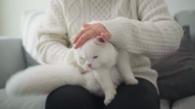 Mutlu Kadın Evde Kediyle Oturma Odasında Oynuyor.