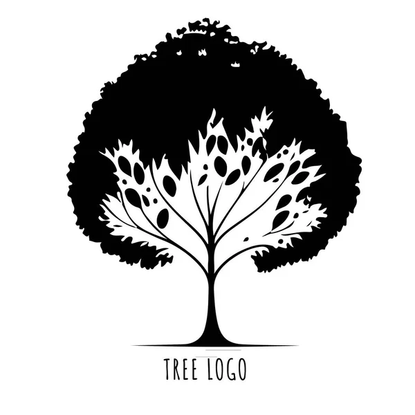 树的图标概念是一种有叶子的风格化树 适合与文字一起使用 矢量说明 — 图库矢量图片