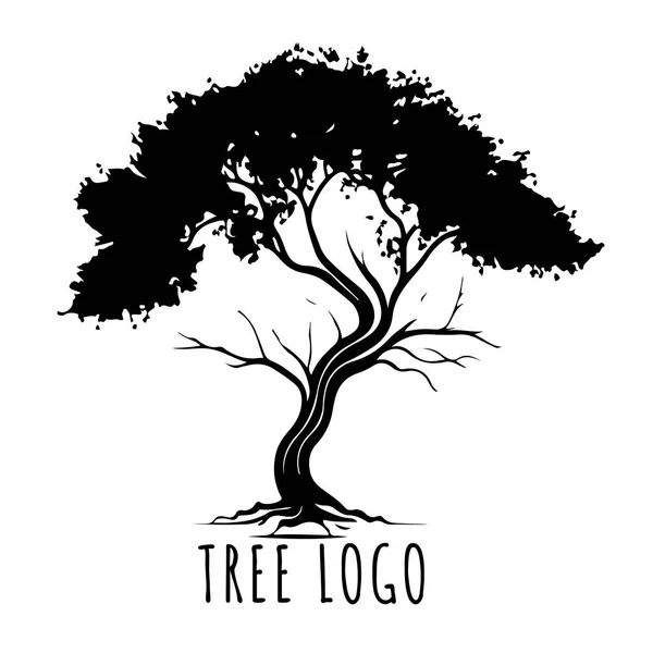 树的图标概念是一种有叶子的风格化树 适合与文字一起使用 矢量说明 — 图库矢量图片