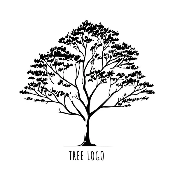 Baumsymbolkonzept Eines Stilisierten Baumes Mit Blättern Eignet Sich Für Die — Stockvektor