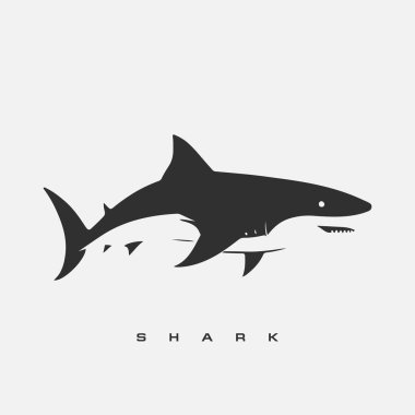 Modern vektör köpekbalığı logo şablonu